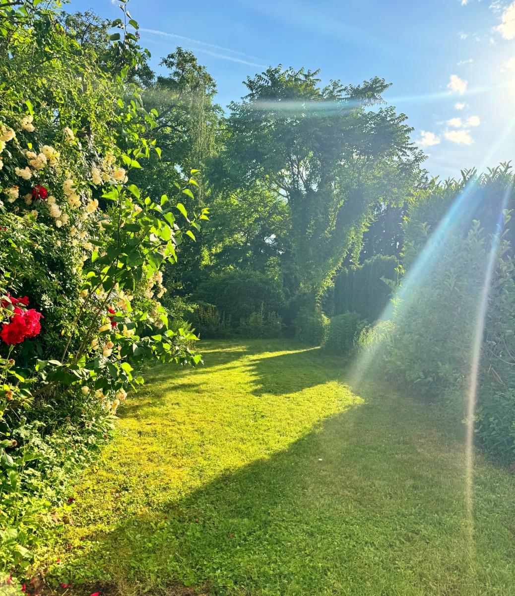 Garten